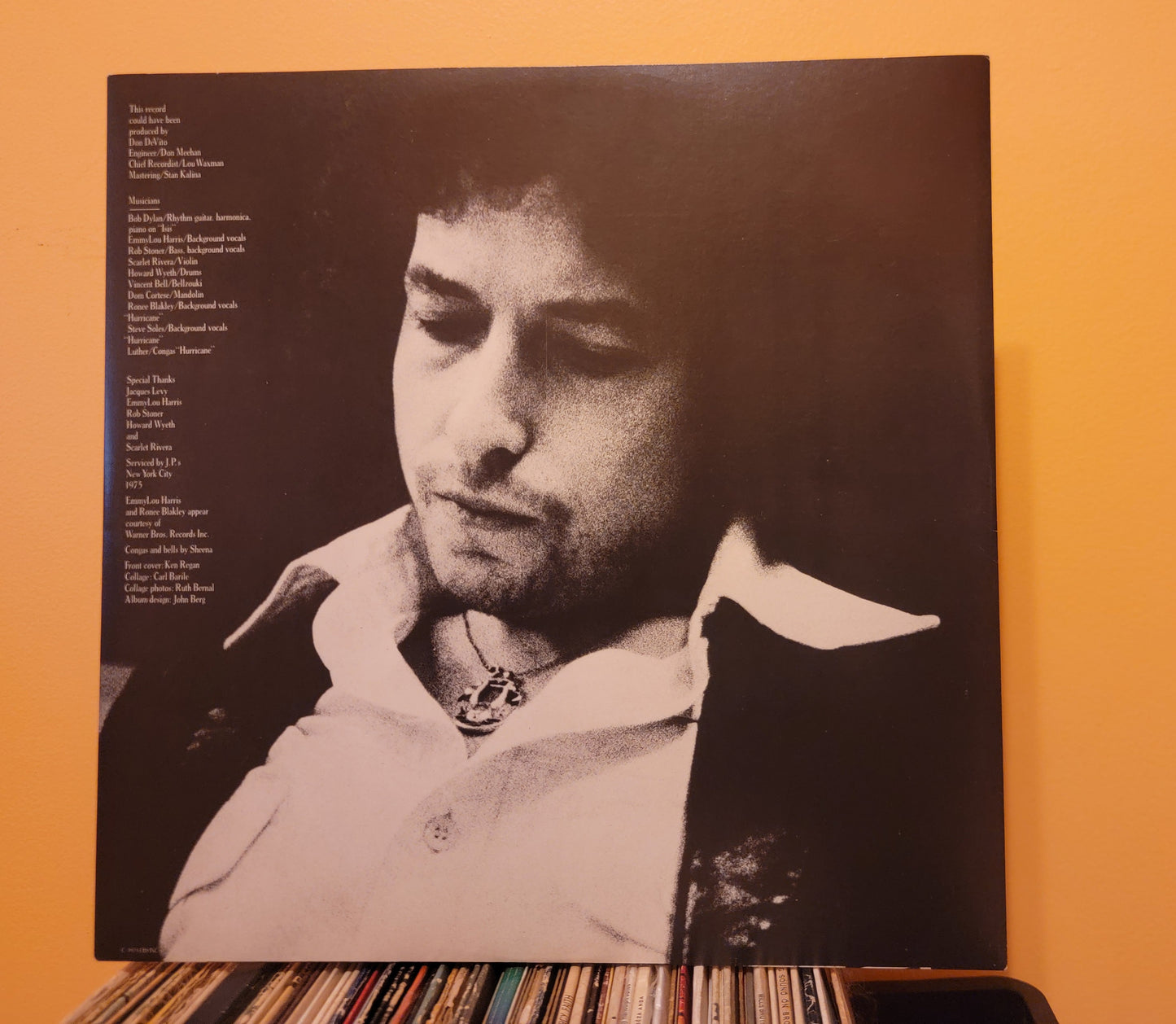Bob Dylan -Desire