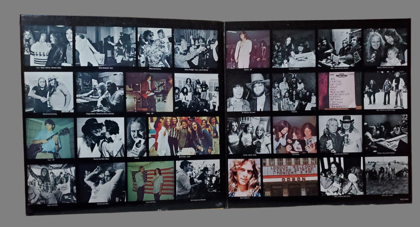 Lynyrd Skynyrd - Skynyrd's First and Last