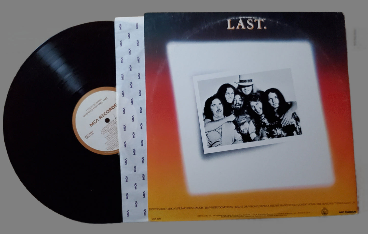 Lynyrd Skynyrd - Skynyrd's First and Last