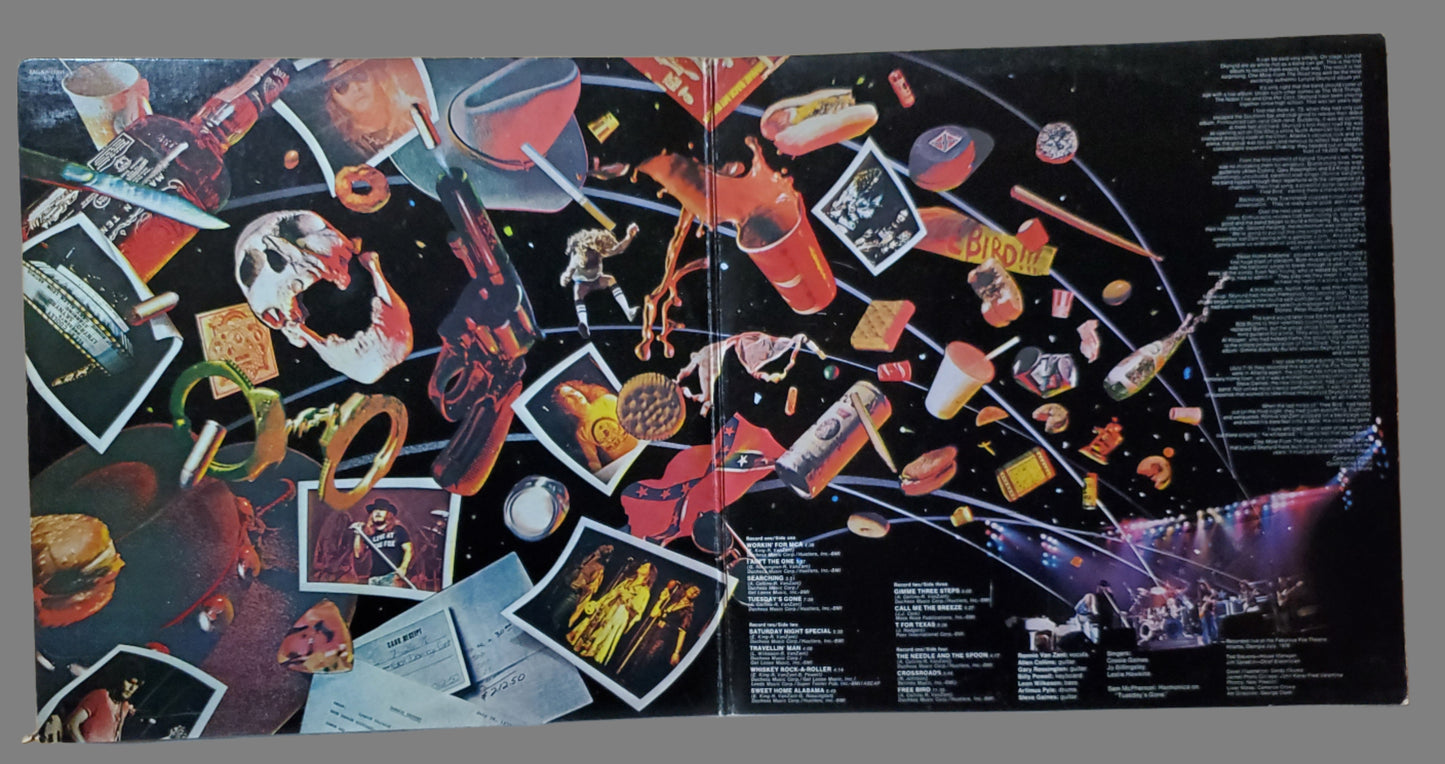 Lynyrd Skynyrd - One More From the Road
