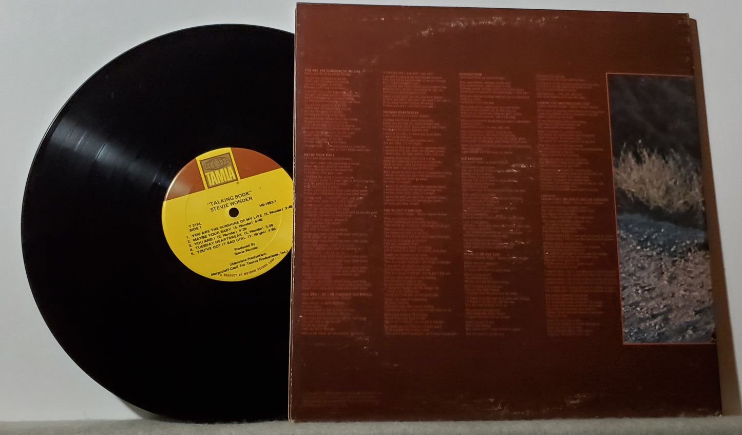 Stevie Wonder - Talking Book